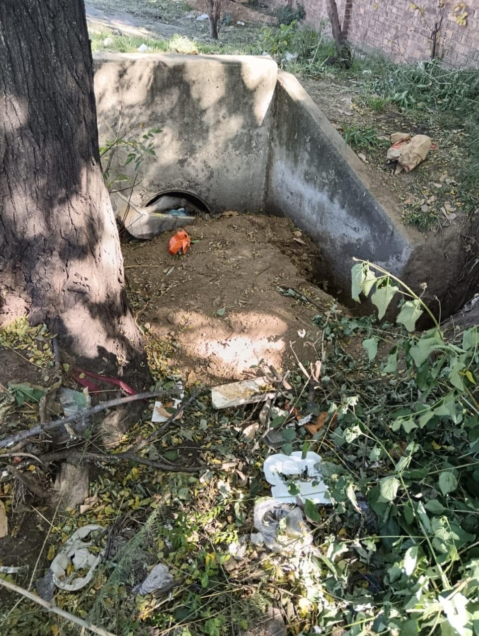 Better Bryanston community work 36
