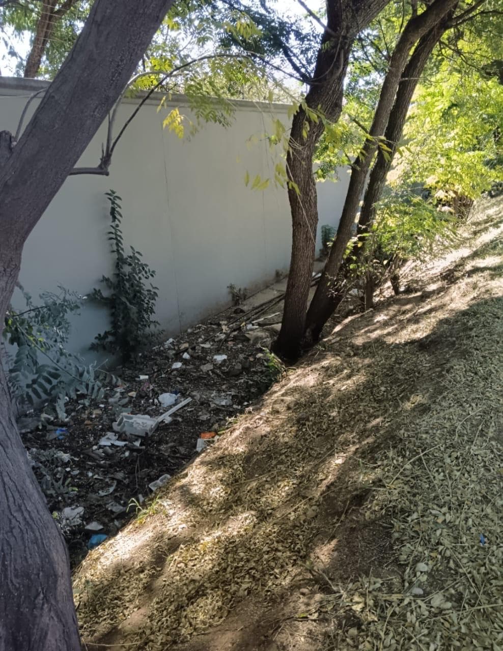 Better Bryanston community work 40