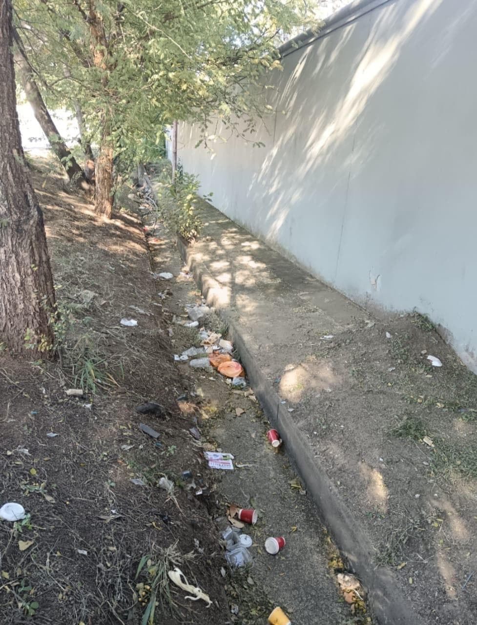 Better Bryanston community work 42