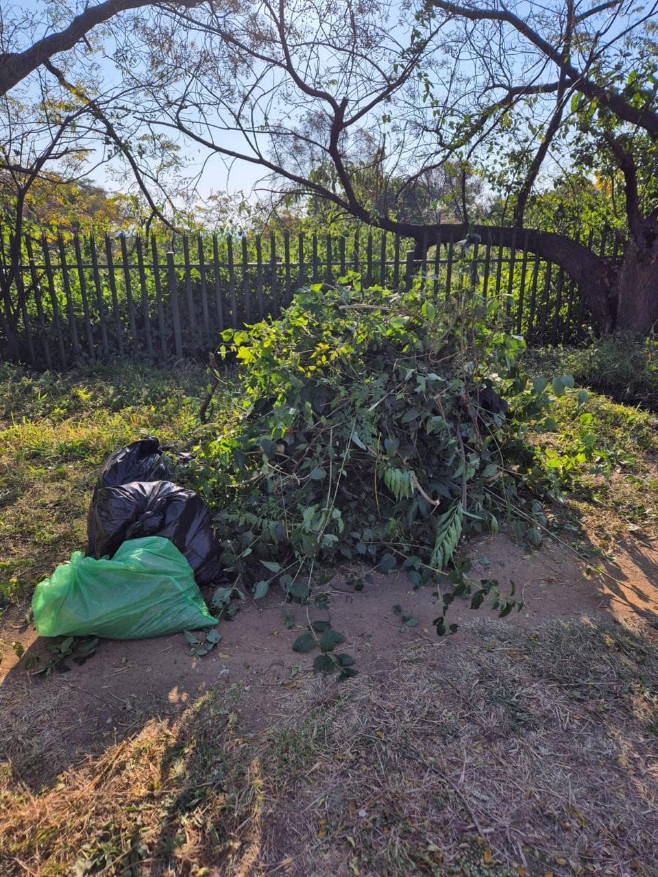 Better Bryanston community work 47