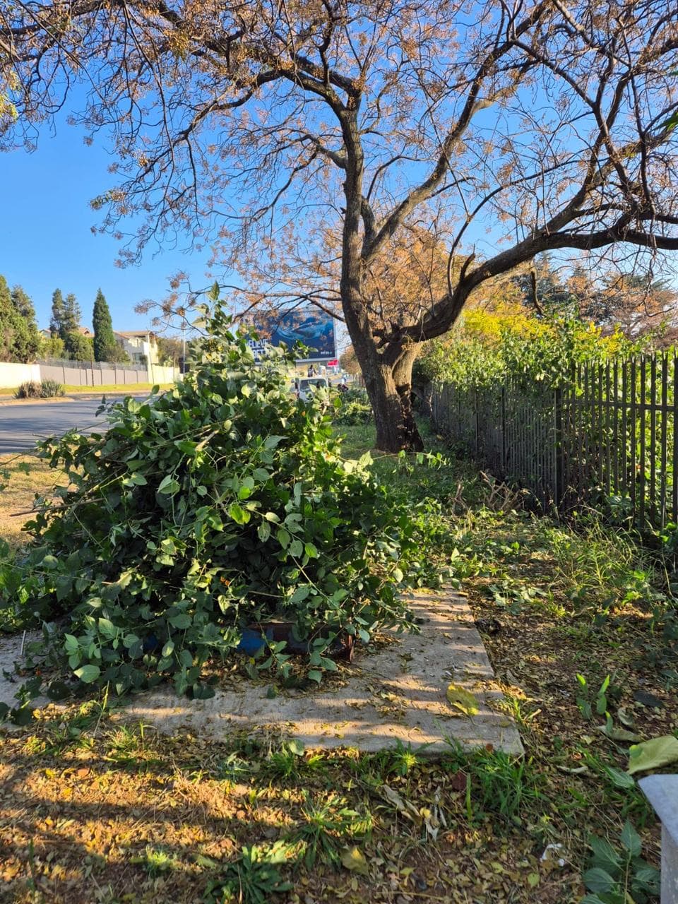 Better Bryanston community work 50