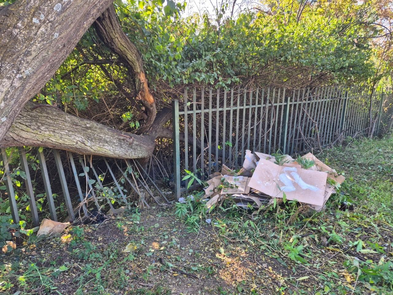 Better Bryanston community work 53