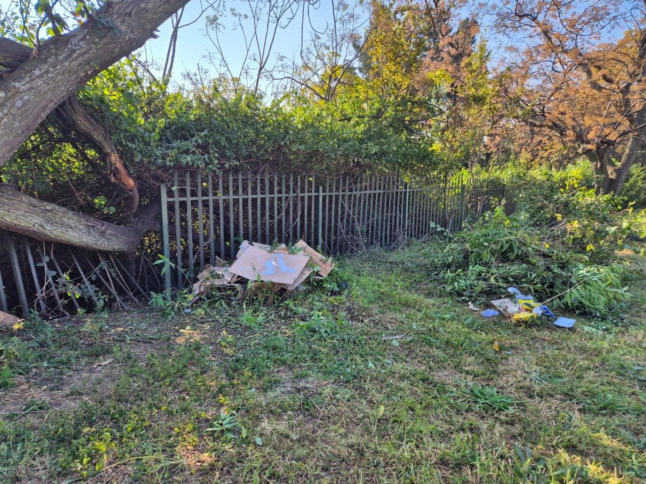 Better Bryanston community work 57